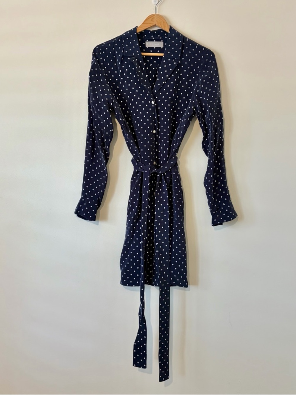 Everlane Navy Polka Dot Long-Sleeve Tie-Waist Dress